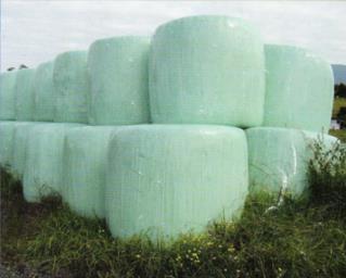 Best prices plastic stretch agricultural film cover 25 micron 750/500/250mm biodegradable silage bale wrap film roll